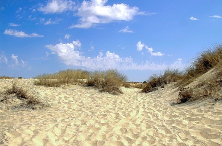 La côte de Doñana, 30 km de sable préservé - Matalascañas