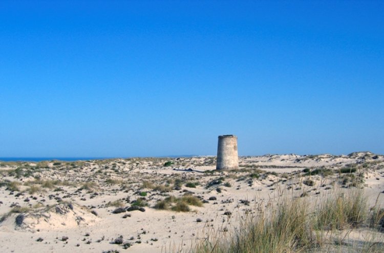 La côte de Doñana, 30 km de sable préservé - Matalascañas