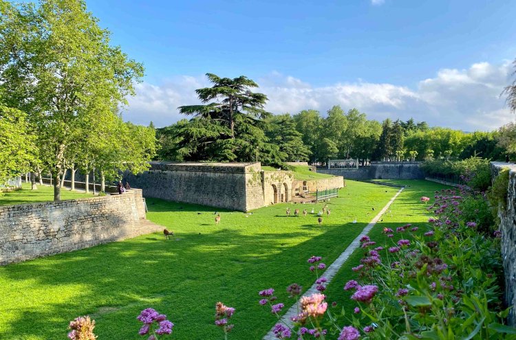 Relax, explore and enjoy authentic Navarra - Pamplona