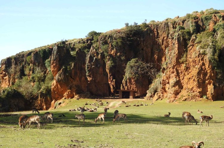 Cabárceno et détente : nature et bien-être en Cantabrie - Parque Cabárceno