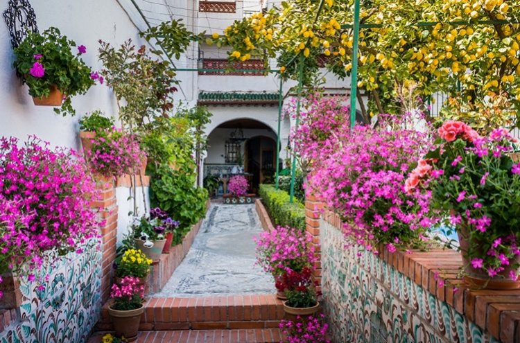 Relaxe com estilo perto de Granada: spa, jardins e cultura - Granada