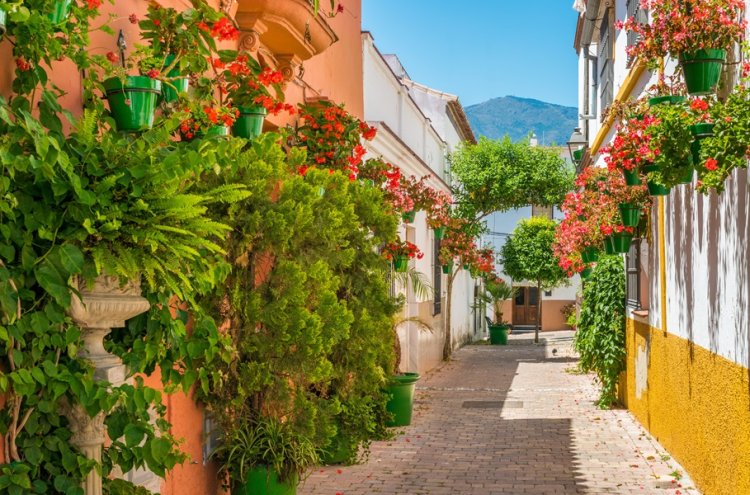 Halloween e muito mais: Estepona e a Costa del Sol: o plano perfeito para desconectar - Estepona