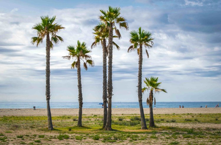 Comarruga, joyau du littoral de la Costa Dorada - Comarruga