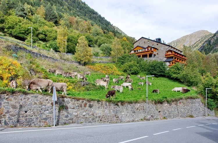 Gelassenheit in den Bergen: Wellness-Aufenthalt im Hotel Mu - Andorra