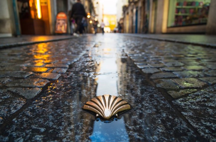 Cultura, natureza e descanso no coração da Galiza - Santiago de Compostela