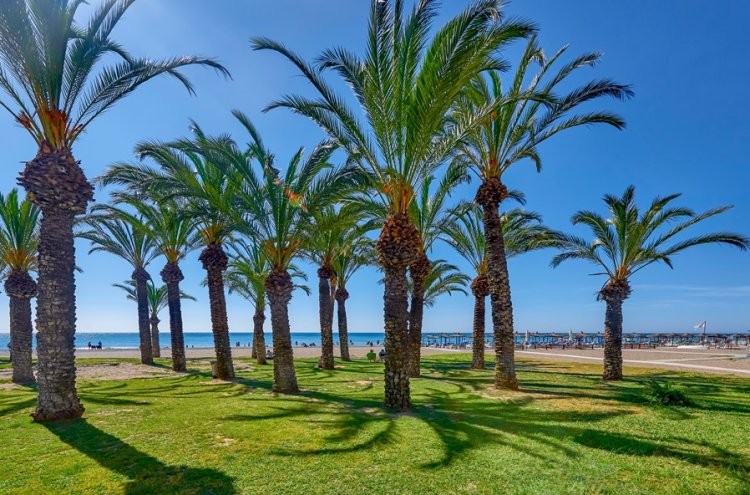 Torremolinos 2026: sol, mar e charme andaluz na Costa del Sol - Torremolinos