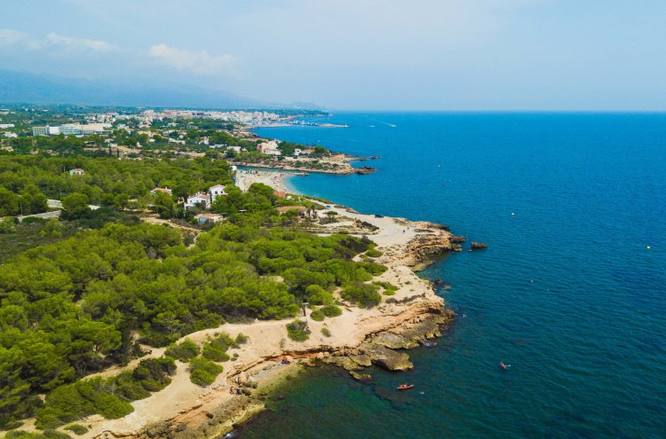 Tout ce dont vous avez besoin à La Pineda en bord de mer - La Pineda