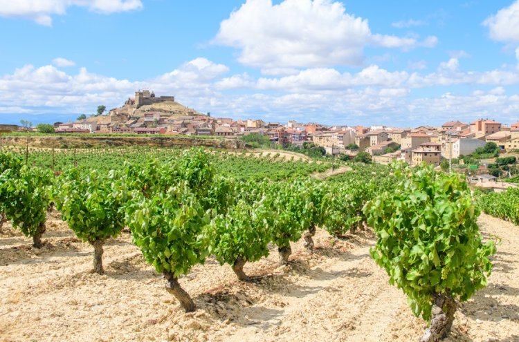 Explore La Rioja com uma moradia privada - La Rioja