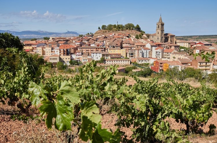 Explore La Rioja com uma moradia privada - La Rioja