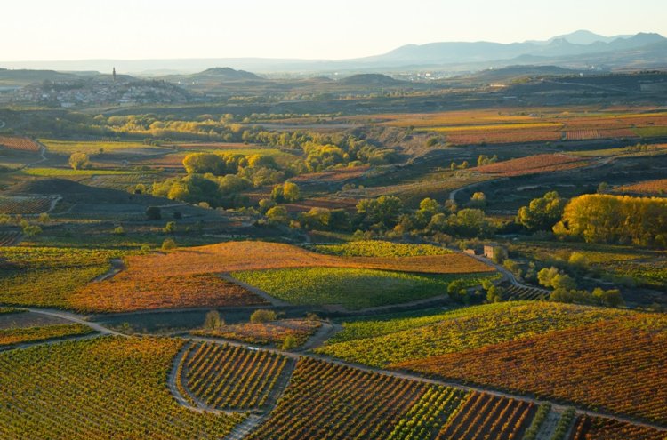 Explore La Rioja com uma moradia privada - La Rioja
