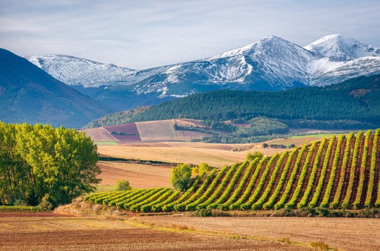Explore La Rioja com uma moradia privada - La Rioja