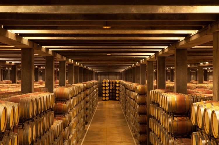Explore La Rioja com uma moradia privada - La Rioja