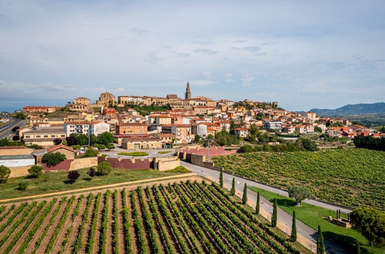 Explore La Rioja com uma moradia privada - La Rioja