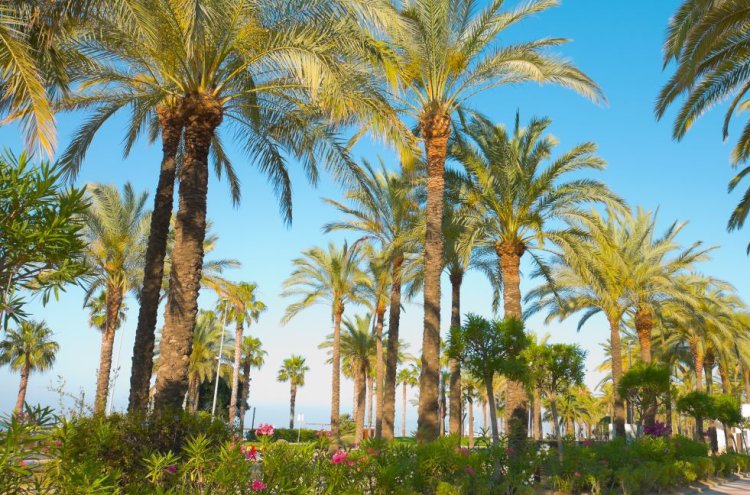 Emoção e sol em Salou: PortAventura World® e Ferrari Land num só plano - Salou