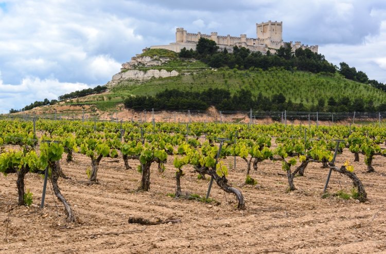 Peñafiel: Abschalten mit Spa im 4-Sterne-Superior-Hotel - Peñafiel
