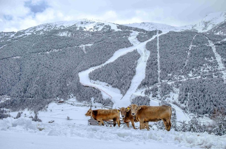 Descubra o coração de Andorra la Vella - Andorra