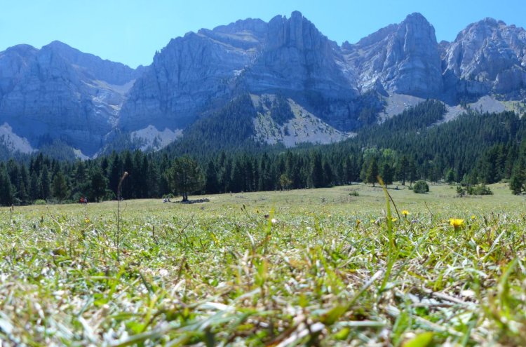 Erleben Sie den wilden Charme des Nationalparks Cadí-Moixeró - Parque Nacional Cadi Moixero