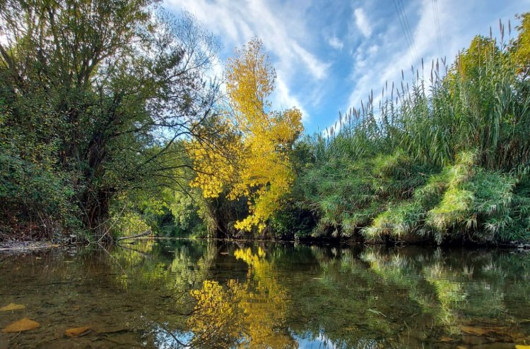 Thermalentspannung in der Nähe von Barcelona - La Garriga