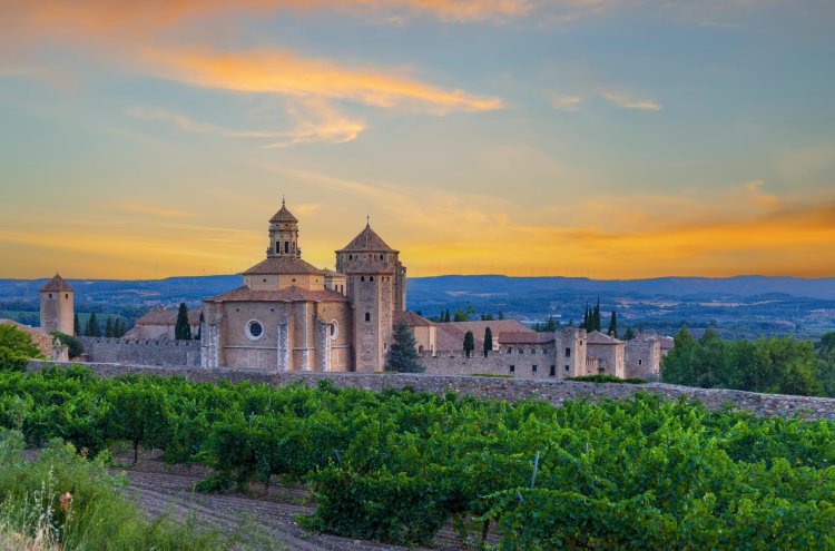 Poblet, Ruhe zwischen Reben und Hügeln