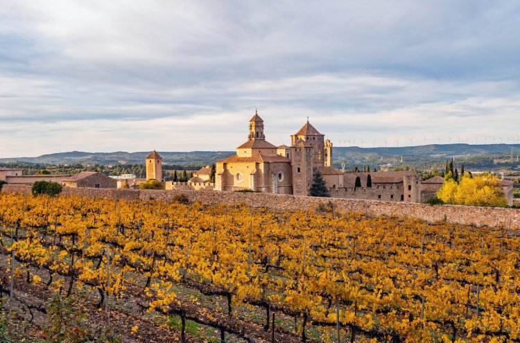 Poblet, Ruhe zwischen Reben und Hügeln