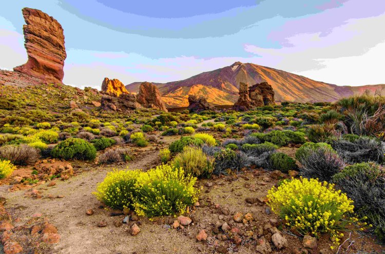 Tenerife, escapade au cœur des Canaries - Tenerife