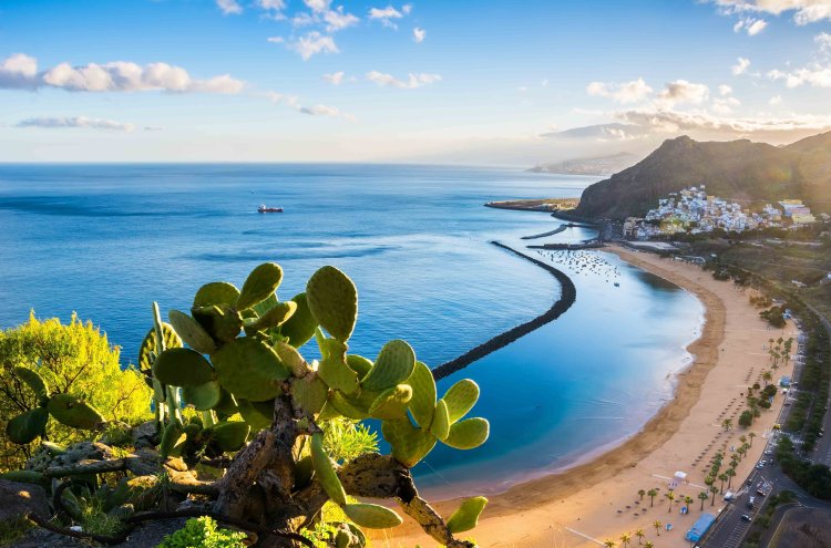 Tenerife, escapade au cœur des Canaries - Tenerife