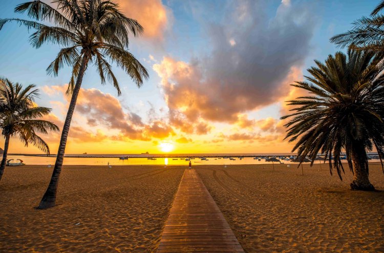 Tenerife, escapade au cœur des Canaries - Tenerife