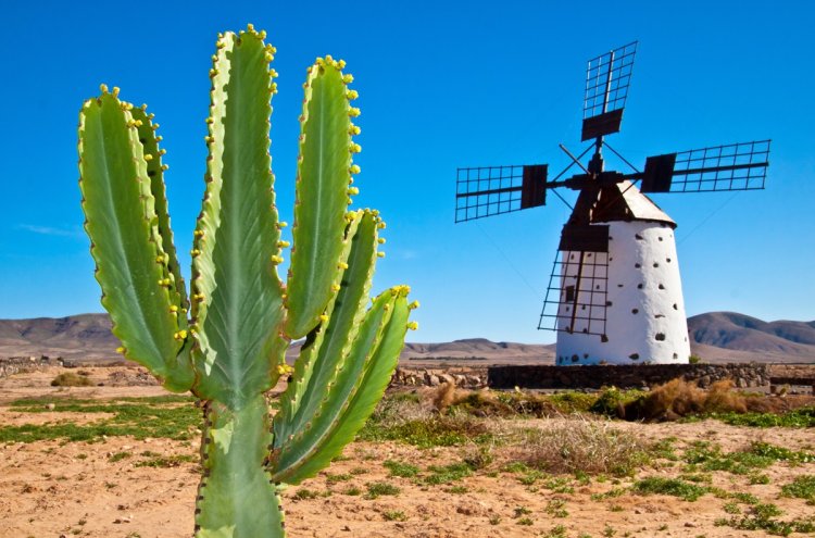 Adults Only All-Inclusive stay in sunny Fuerteventura - Fuerteventura