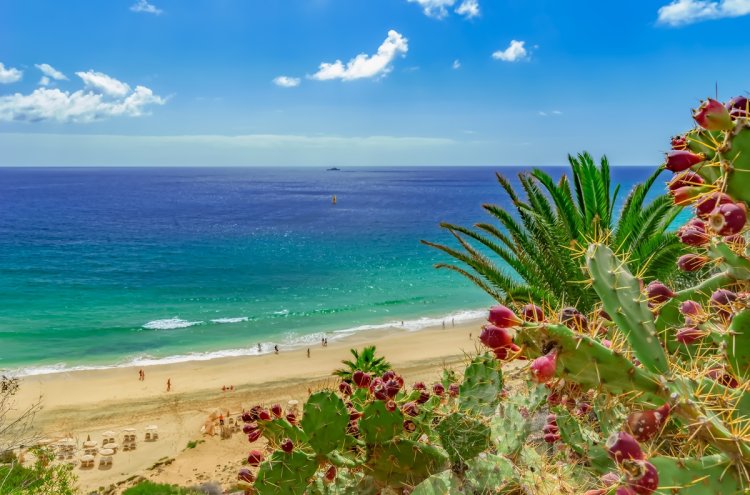 Adults Only All-Inclusive stay in sunny Fuerteventura - Fuerteventura