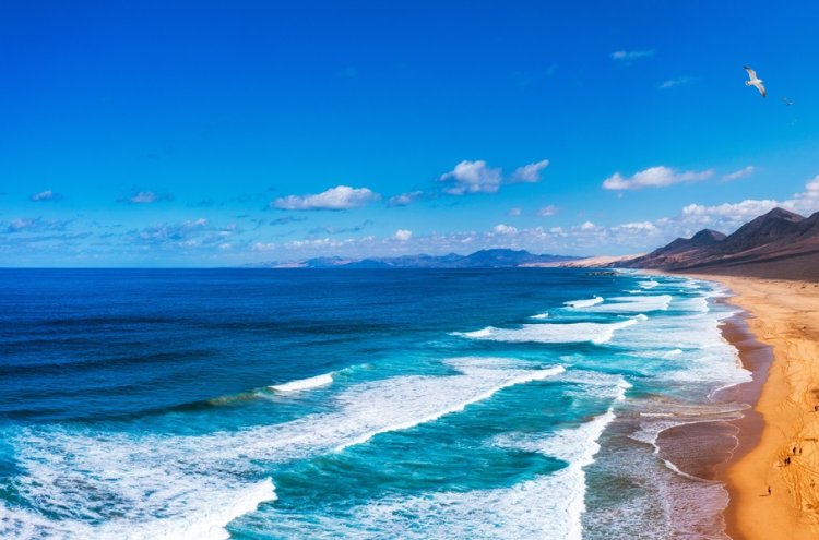 Adults Only All-Inclusive stay in sunny Fuerteventura - Fuerteventura