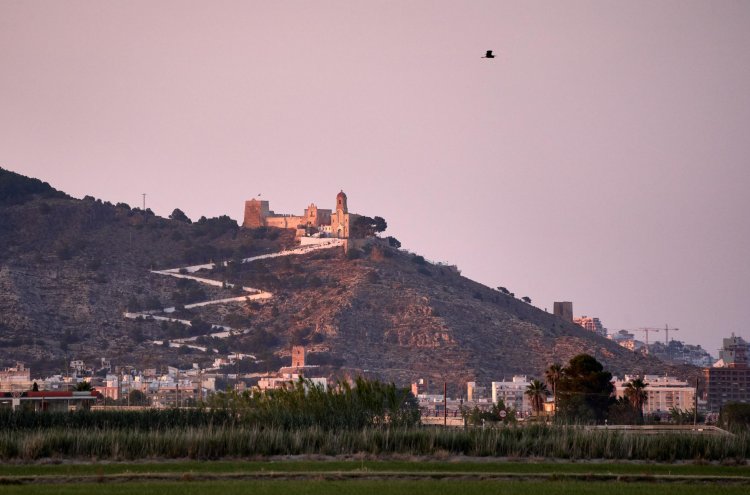 Discover Cullera