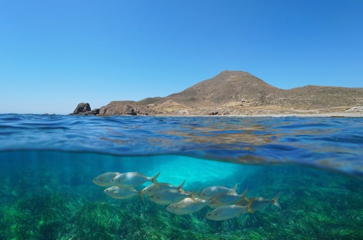Aguadulce : les pieds dans l’eau - Almería