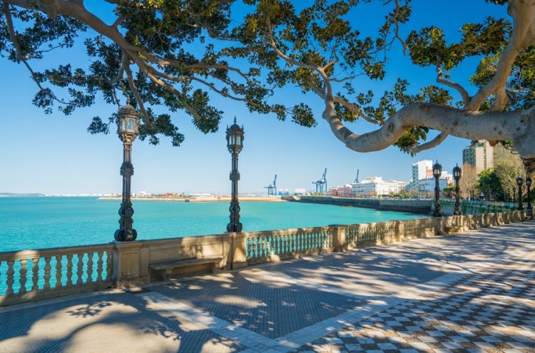 Apartamentos Plazuela del Carbón Suites - Cadiz South of Spain - Cádiz