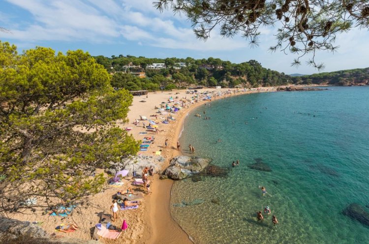 Platja d'Aro: Your Perfect Coastal Getaway - Platja d'Aro