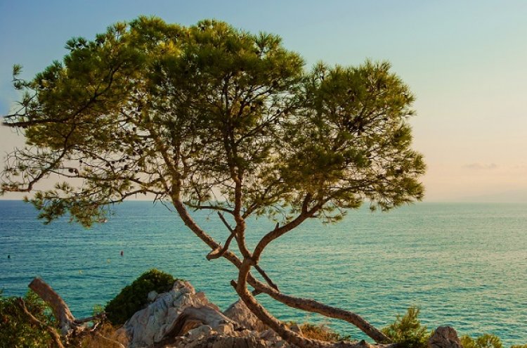 Spend your Summer Holiday in Salou with Full Board - Destination