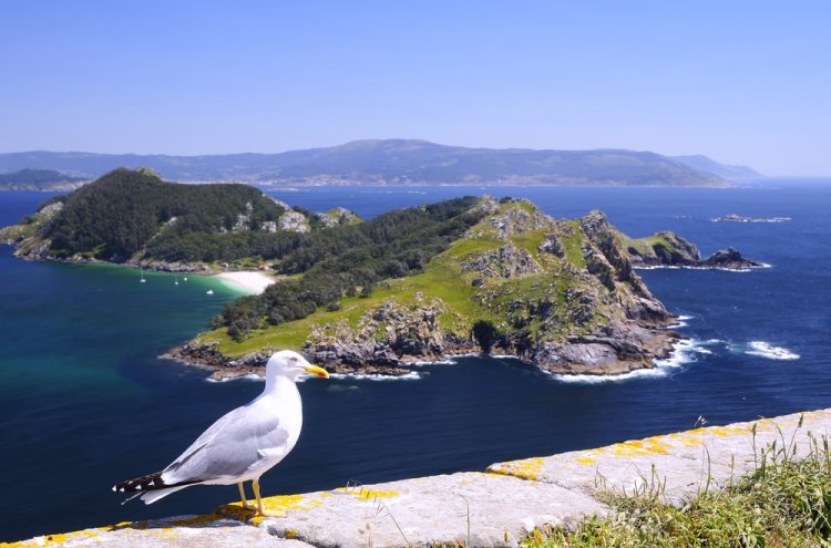 Galicia Unveiled: Explore the Enchanting Wonders of Spain's Northwest Coast - Destination