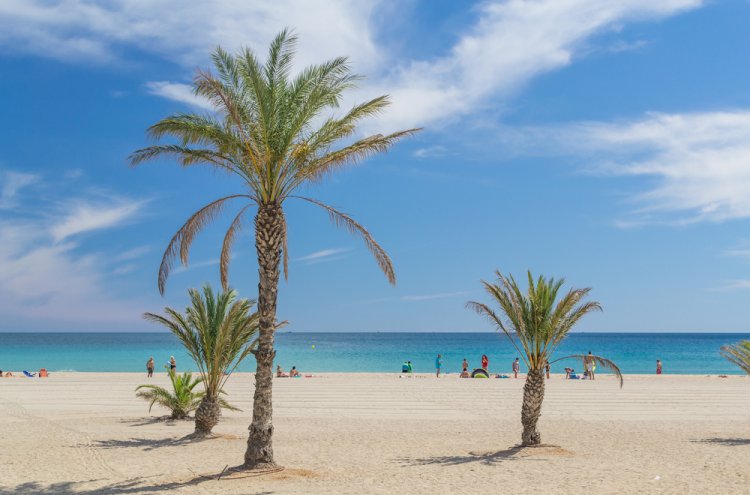 Relax in a campsite on the beachfront in Costa Dorada! - Destination