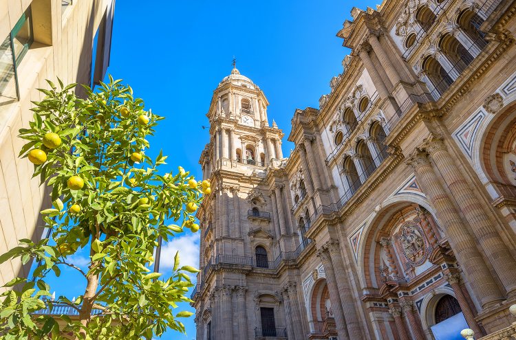 Discover the wonders of Malaga with this beachfront hotel - Destination