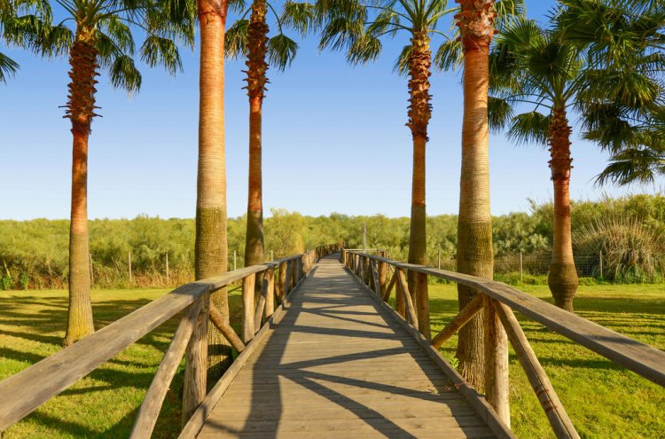 Stay in style at This 4* Family-Friendly Hotel in the South of Spain - Destination