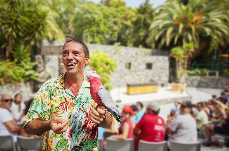 Hotel Caribe 4* in PortAventura World - Excellent discounts for kids! - Destination