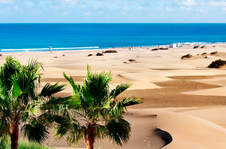 Apartments in Maspalomas Gran Canaria - Perfect Summer Holiday!