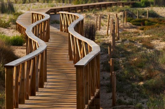 Discover Cadiz in the South of Spain - Hotel Salymar - Destination