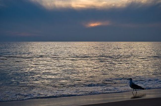 Discover Cadiz in the South of Spain - Hotel Salymar - Destination