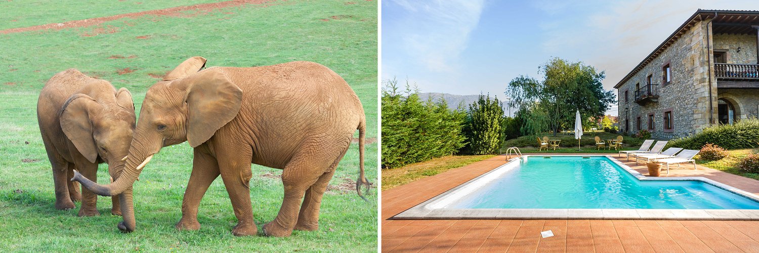 Cabárceno e relax: natureza e bem-estar na Cantábria