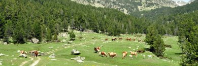 Déconnexion totale dans les Pyrénées catalanes