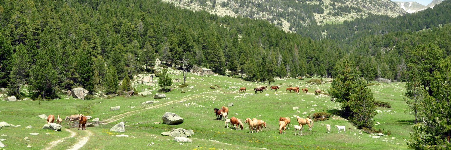 Déconnexion totale dans les Pyrénées catalanes