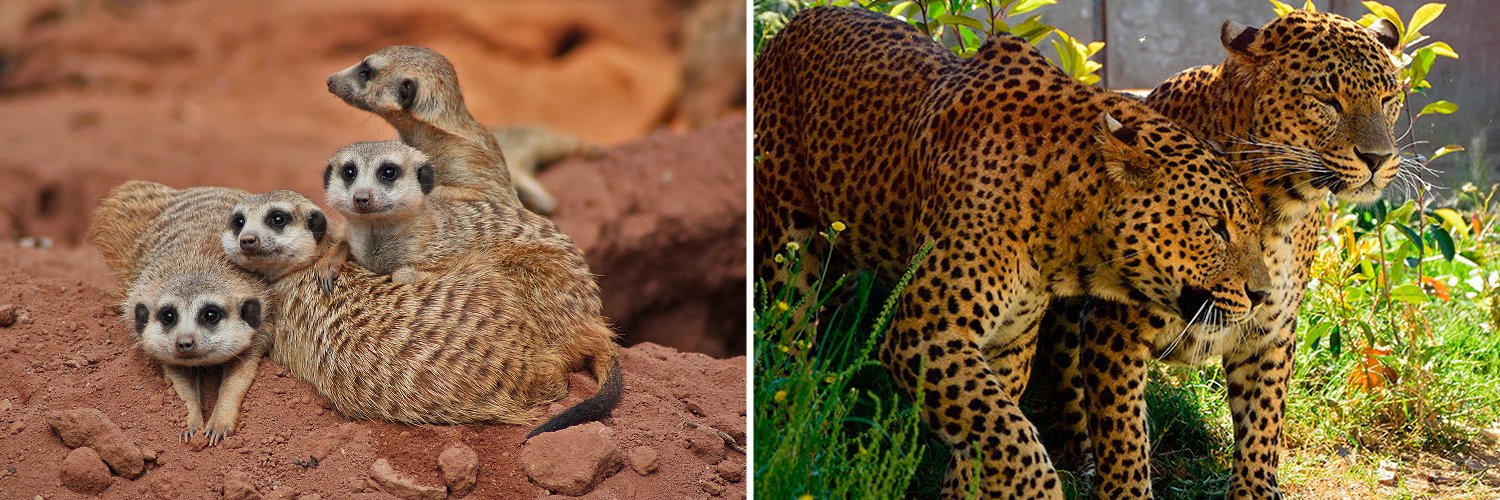 Entdecken Sie Murcia mit oder ohne ein Ticket für Terra Natura oder Aqua Natura