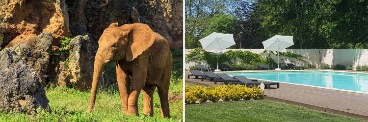 Cabárceno e relax: natureza e bem-estar na Cantábria