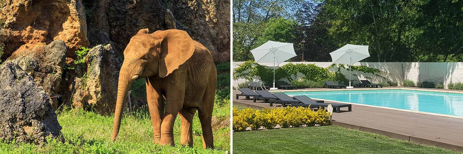 Cabárceno e relax: natureza e bem-estar na Cantábria