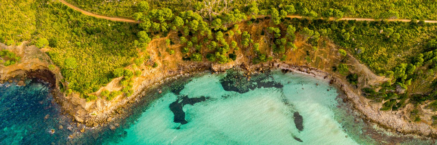 BlueSea Hotel auf Mallorca: Ihr perfekter Urlaub am Meer